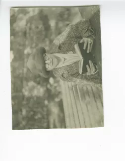 photographie d'Aline Mayrisch, lisant, assise sur un banc, avril 1927