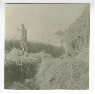 photographie de Tom Howie et Tom Wilson aux travaux des champs, ferme de Howie, été 1918