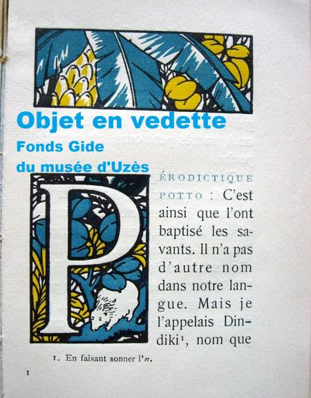 Dindiki