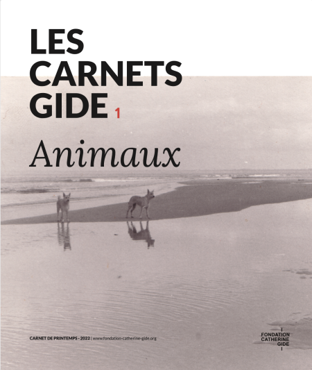 Carnet Gide 1