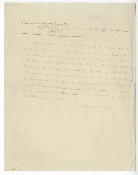 T-05-a Corydon notes par A Gide p07