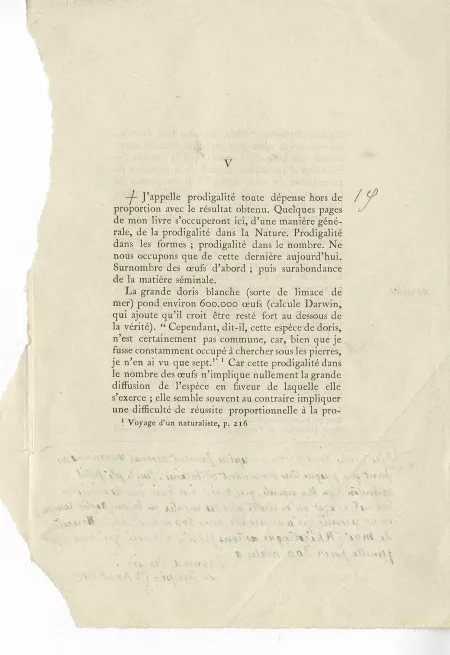 T-06-b Corydon épreuve corrigée annotée par M Van Rysselberghe p 075
