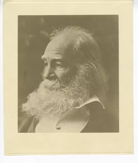 portrait photographique en buste de Walt Whitman