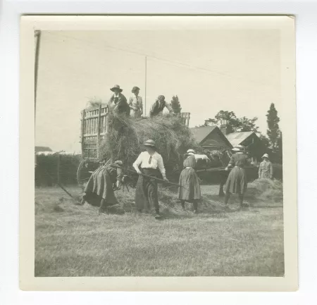 photographie d’élèves de l'école d'horticulture, ramassant la paille