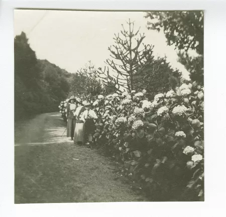 photographie montrant, de gauche à droite, Marie-Thérèse Muller, Daisy Weber et le jeune Jean-Marie Gevaert (le fils de Madeleine Maus), devant une haie d'hortensias, août 1914