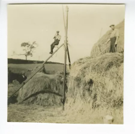 photographie de paysans aux travaux des champs, aides de l'école d'horticulture