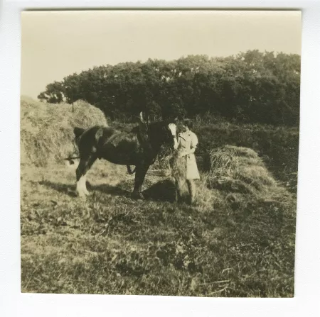 photographie d'Ethel Whitehorn s'occupant du cheval Dan
