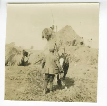photographie de paysans aux travaux des champs, aides de l'école d'horticulture