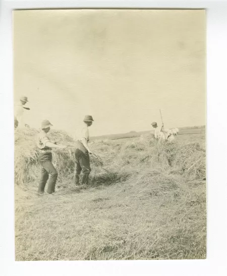 photographie de paysans aux travaux des champs, aides de l'école d'horticulture