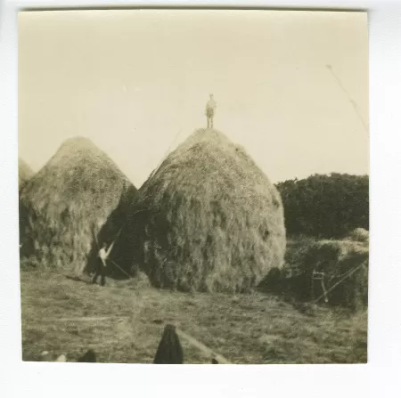 photographie d'un paysan au sommet d'une meule de foin