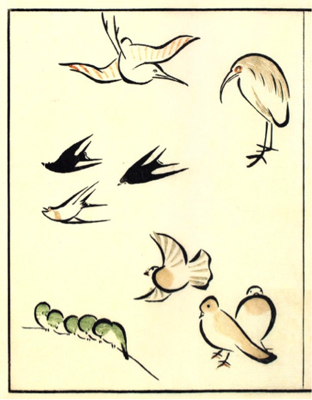 Dessin japonais oiseaux