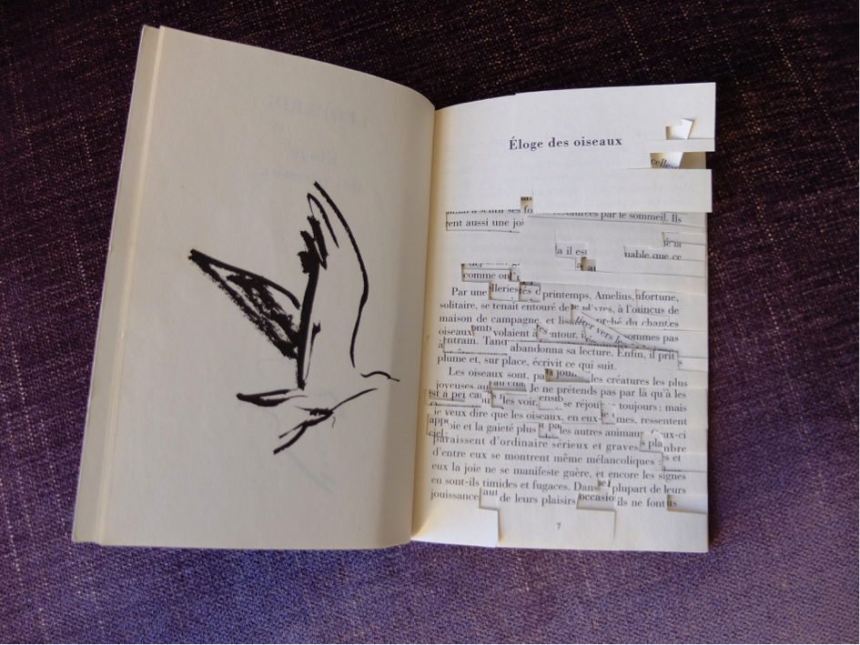 Livre Éloge des oiseaux