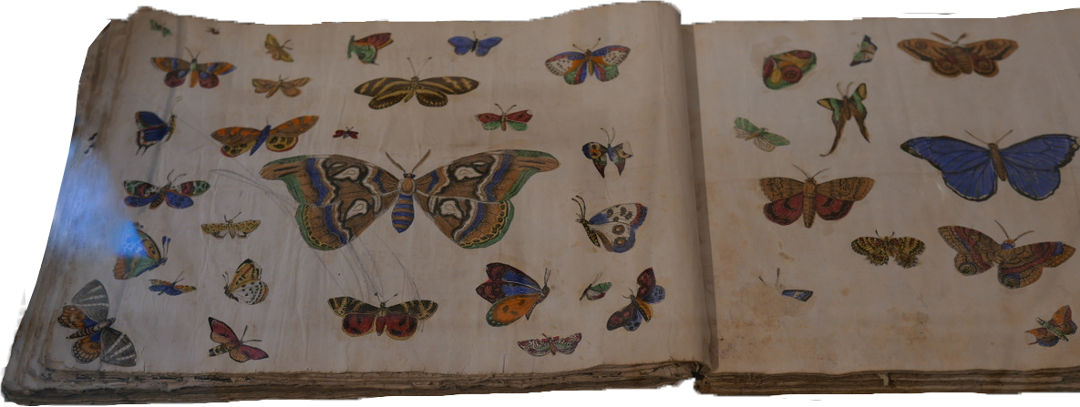 Album d'images d'Épinal d'André Gide