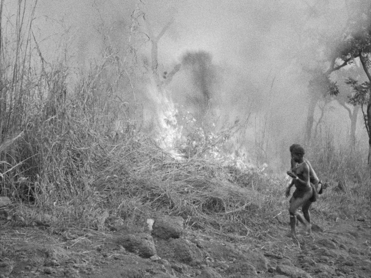 Feu de brousses, Voyage au Congo