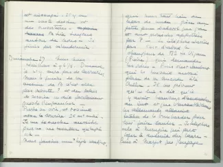 35-05-b É Van Rysselberghe journal de 1944 p32 verso & p33 recto