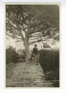 photographie de Maria Van Rysselberghe, devant un pin, à Saint-Clair, mars 1924