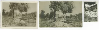 photographie de la tombe de Rupert Brooke sur l’île de Skyros