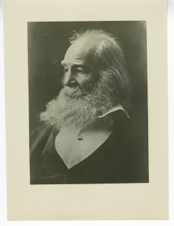 portrait photographique en buste de Walt Whitman