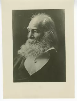 portrait photographique en buste de Walt Whitman