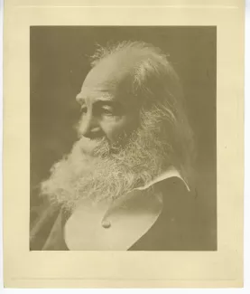 portrait photographique en buste de Walt Whitman