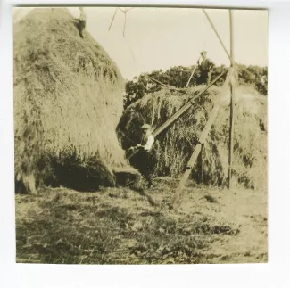 photographie de paysans aux travaux des champs, aides de l'école d'horticulture