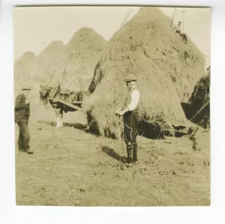 photographie de John et Bogey aux travaux des champs, aides de l'école d'horticulture