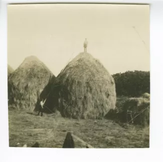 photographie d'un paysan au sommet d'une meule de foin