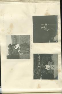 photographie d'Élisabeth Van Rysselberghe, assise avec un chien, dans le jardin de la villa Robinson, chez les Flé