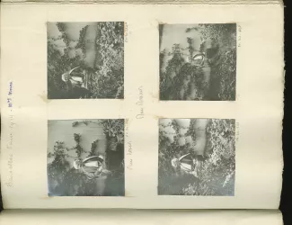 photographie de Sylvie Monnom, mère de Maria Van Rysselberghe, assise dans un jardin, juin 1914