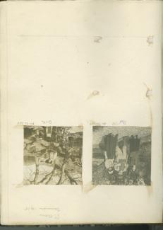 photographie montrant, de gauche et à droite, Marthe Massin, nièce des Verhaeren, Théo Van Rysselberghe et Marthe Verhaeren, l'épouse du poète, dans le jardin de la maison de Saint-Clair, janvier 1916