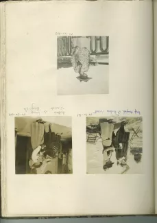 photographie d'Aline Mayrisch et sa fille Andrée Mayrisch, devant un café