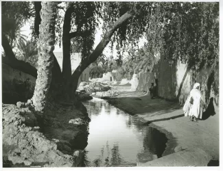 photographie d'un chemin ombragé près d’un oued, avec deux passants