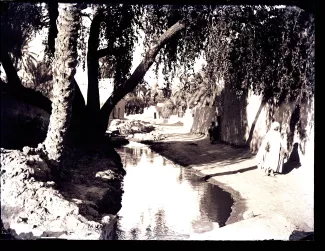 photographie d'un chemin ombragé près d’un oued, avec deux passants