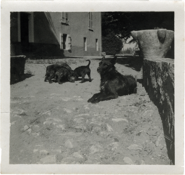 Niska à la Bastide Franco