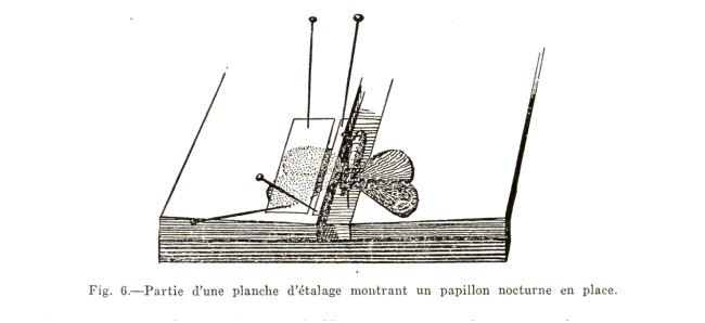 planche